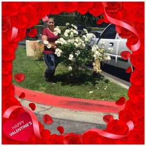 Meet your Posher, Silvia